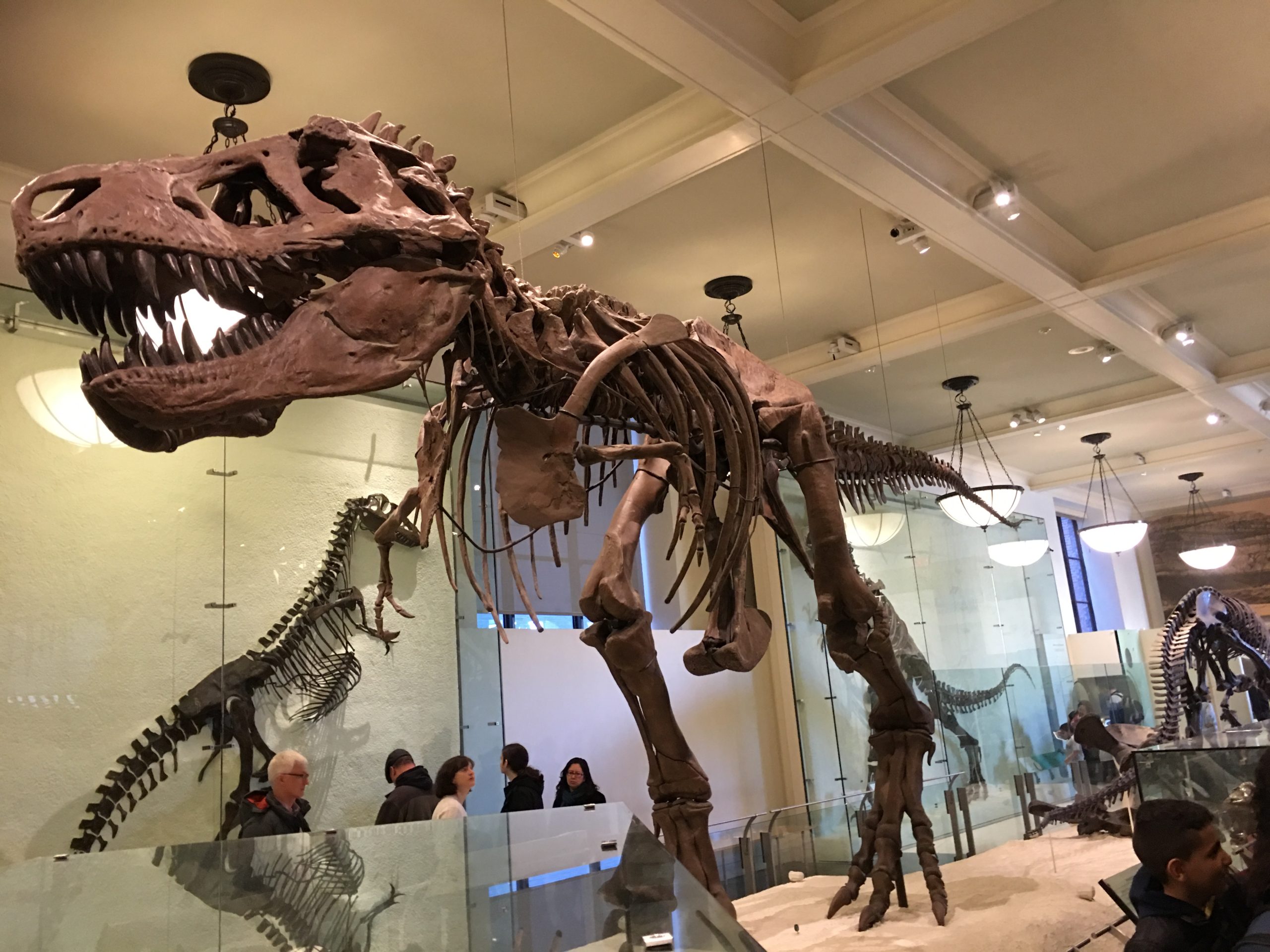 アメリカの子育て・義務教育まとめ｜学校制度・バイリンガル教育・日本との違い