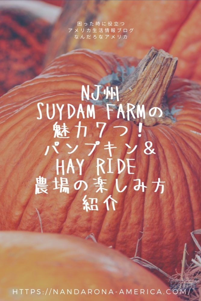 Nj州suydam Farmの魅力７つ パンプキン Hay Ride 農場の楽しみ方紹介 アメリカ生活情報 なんだろな アメリカ