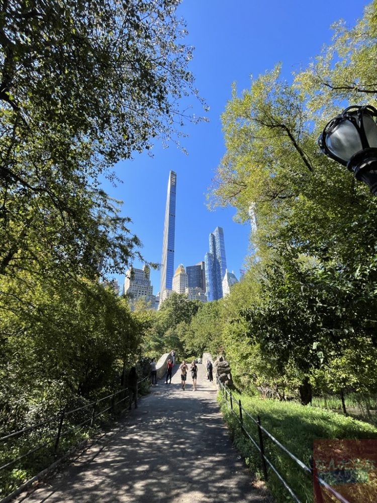 英語で読み聞かせ｜子ども向け英語絵本とバイリンガル育児